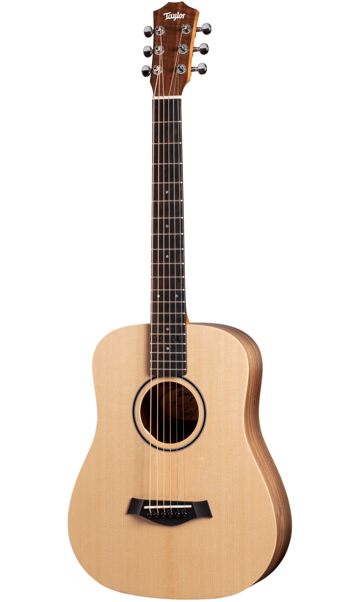 Baby Taylor Acoustic Guitar