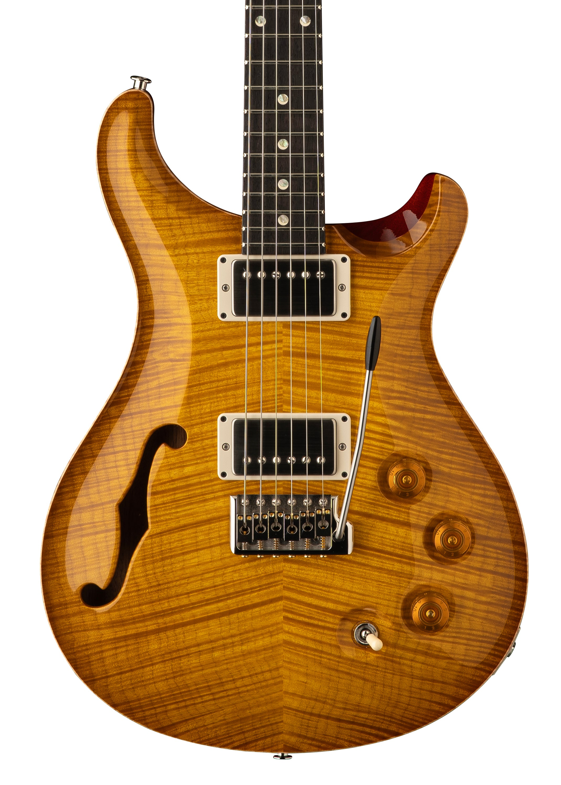 PRS Semi-Hollow DGT Limited Edition - IN STOCK - (LIMITED TO 200 WORLDWIDE)