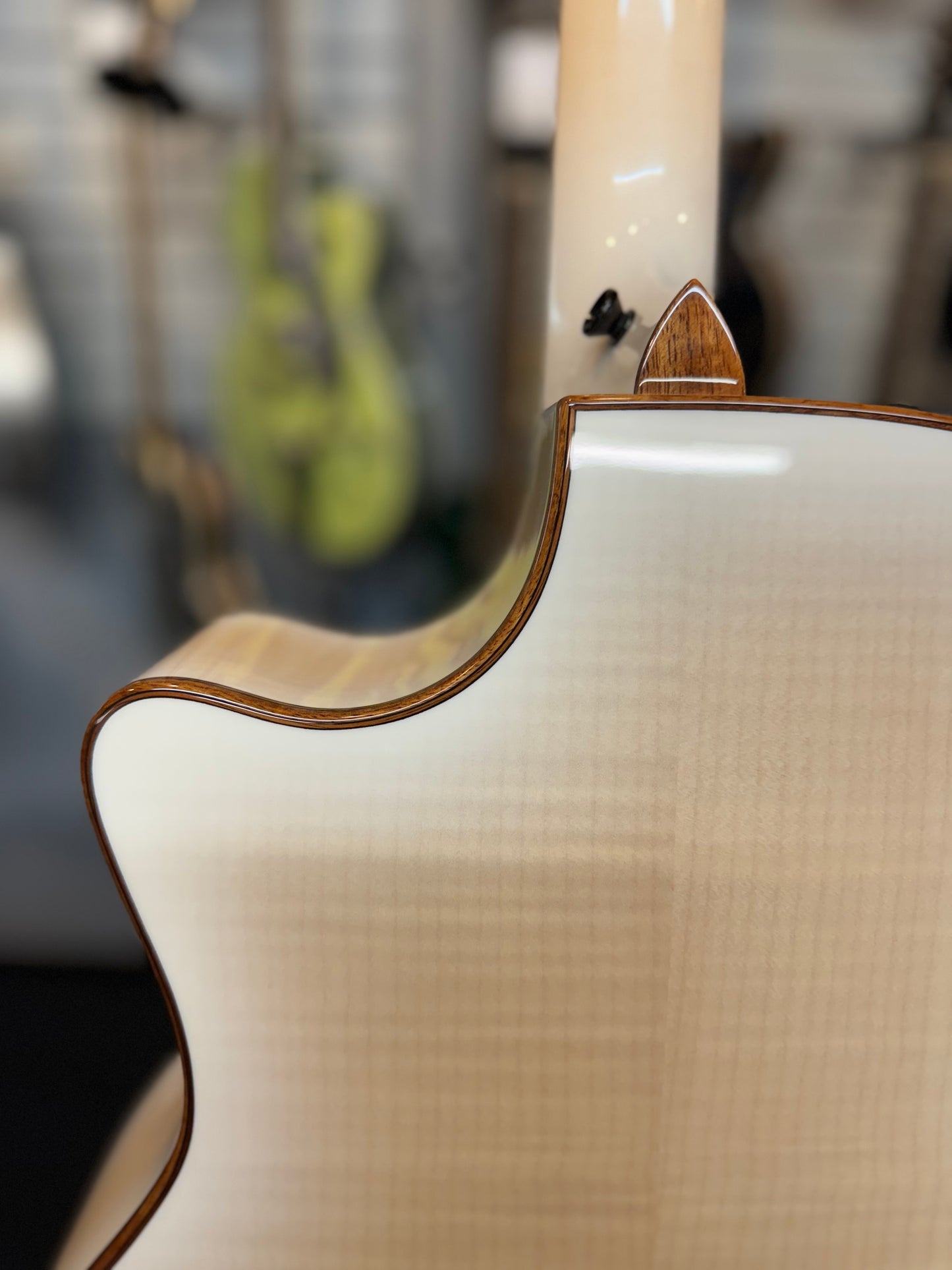 Taylor Custom #22: Grand Auditorium, Lutz Spruce/AA Figured Big Leaf Maple