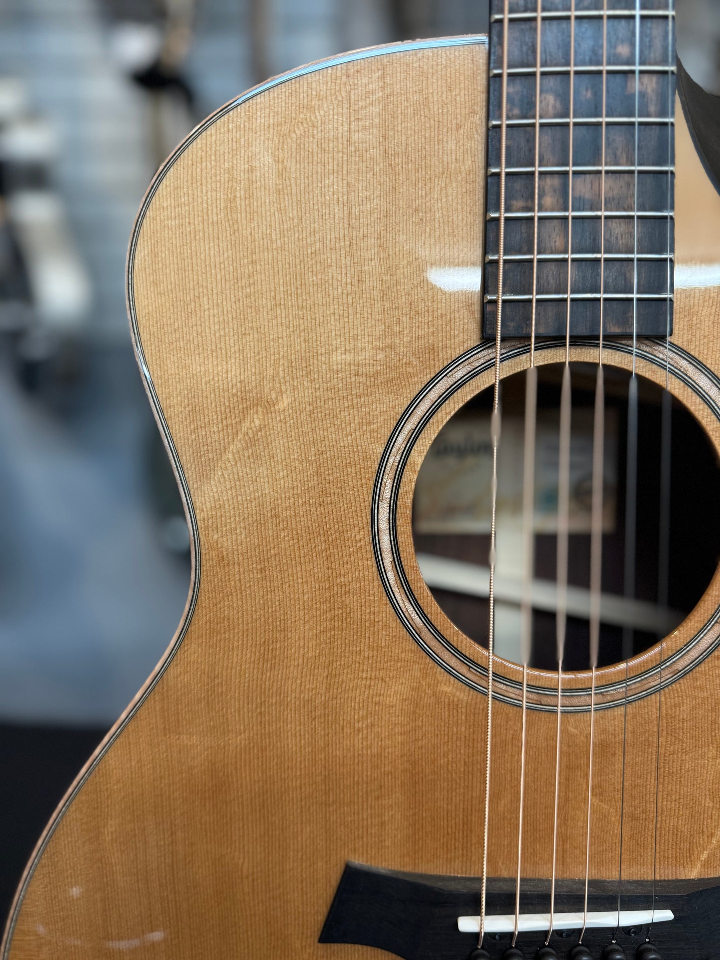 Taylor Custom #36: Grand Symphony, Bearclaw Sitka Spruce/Indian Rosewood