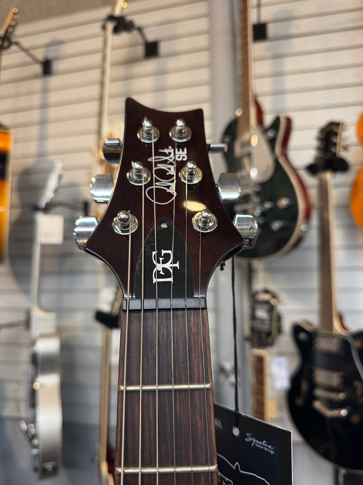 Paul Reed Smith SE DGT, David Grissom, Moons, Gold Top