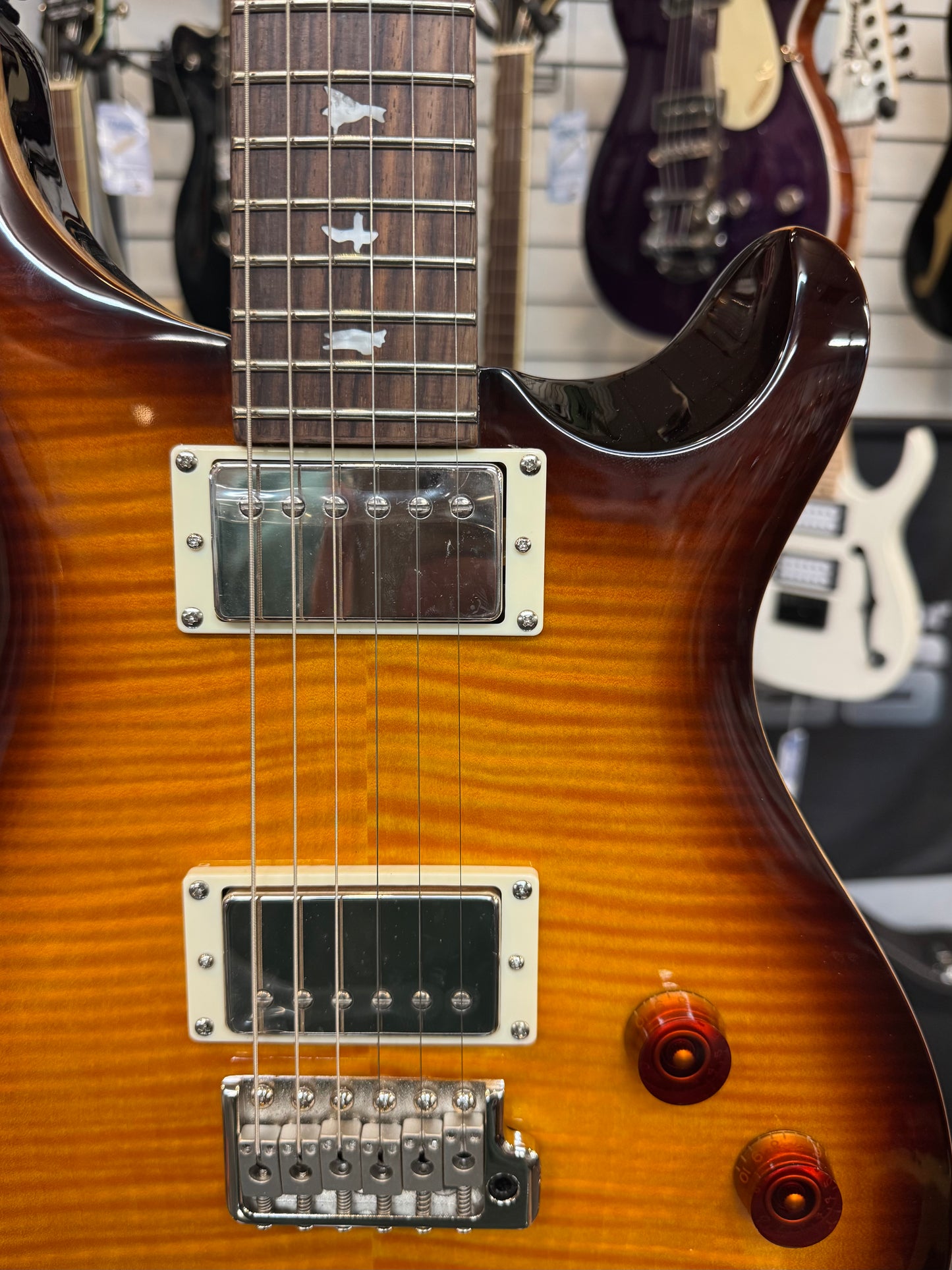 Paul Reed Smith SE DGT, David Grissom, Birds, McCarty Tobacco Sunburst