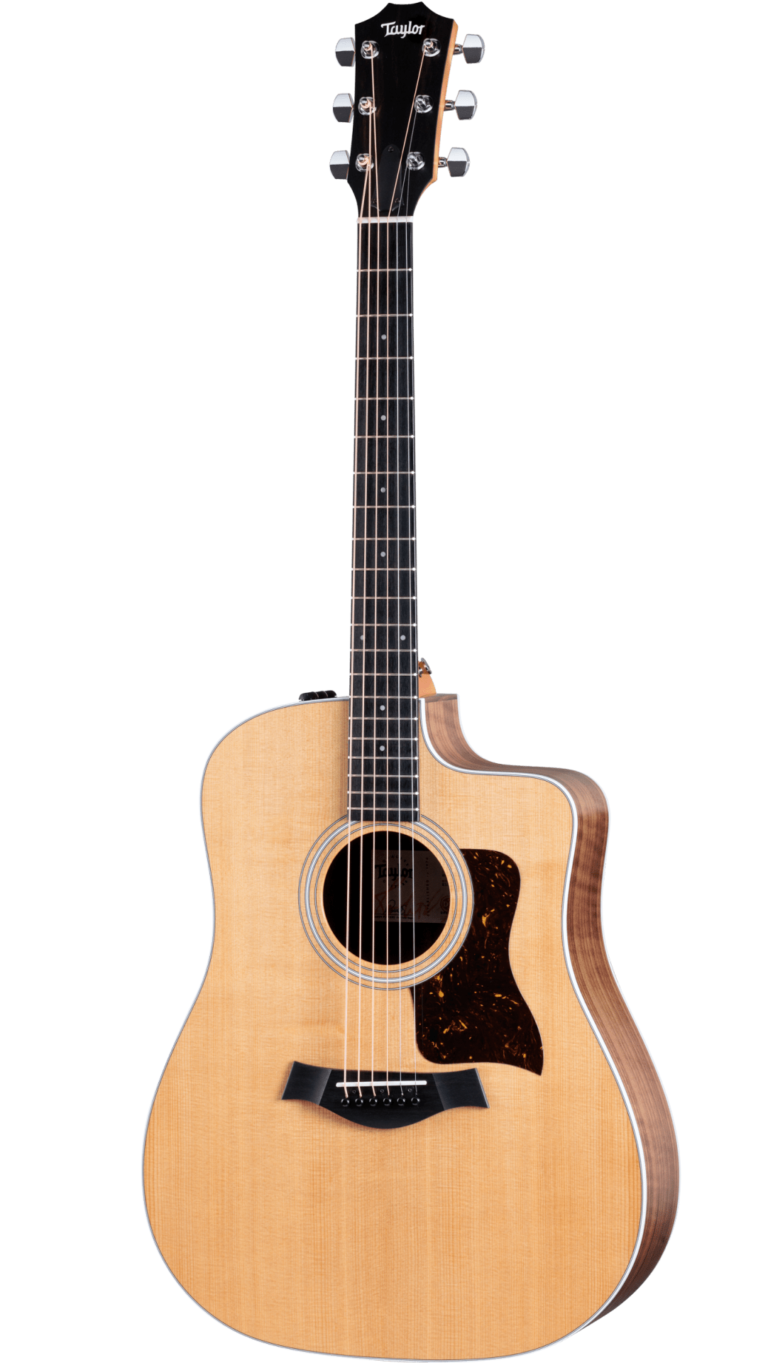 Taylor 210ce Acoustic-Electric Guitar
