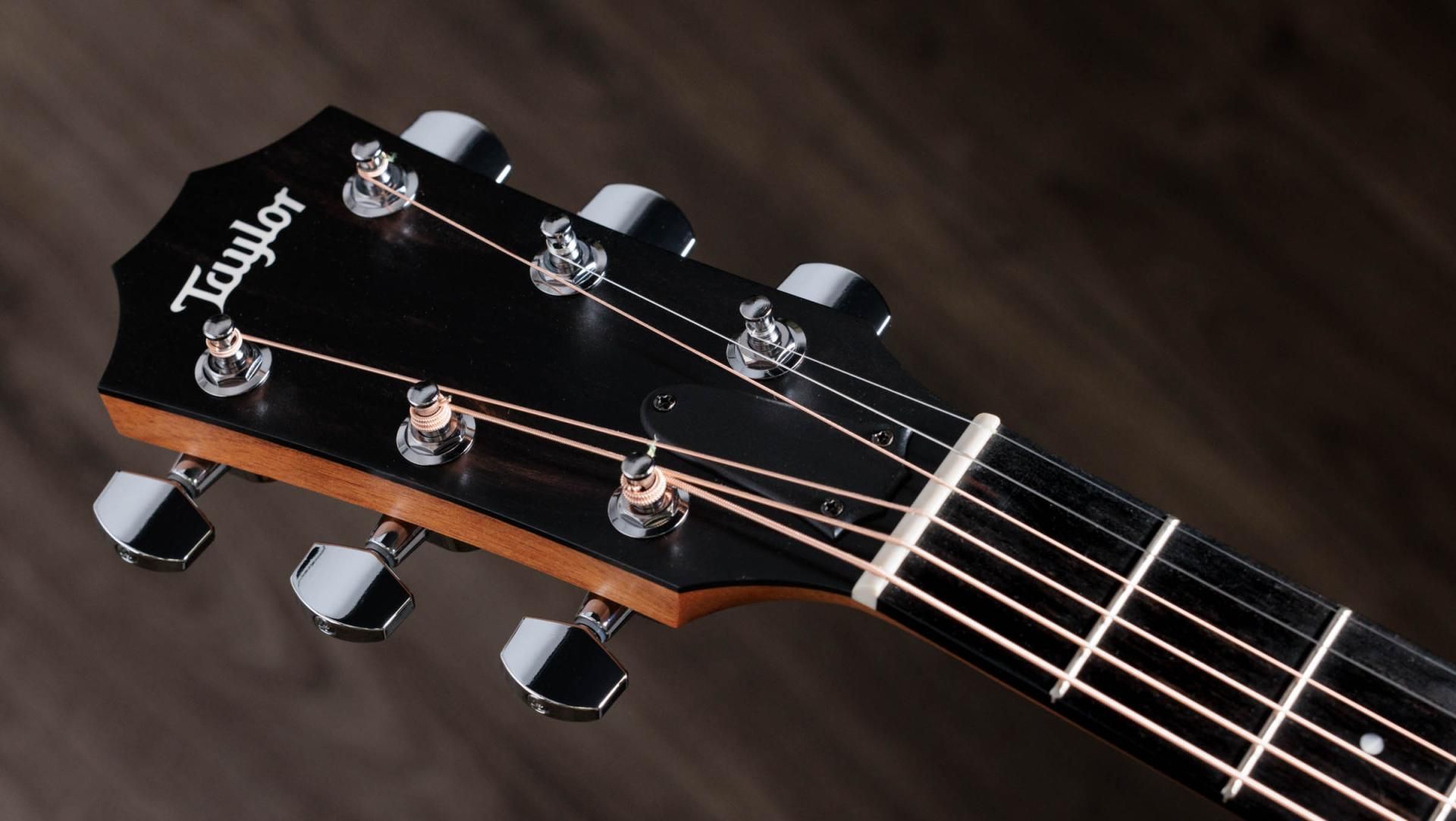 Taylor 210ce Acoustic-Electric Guitar