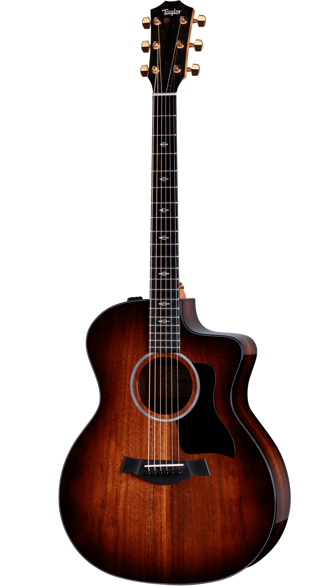 Taylor 224ce-K DLX Acoustic-Electric Guitar