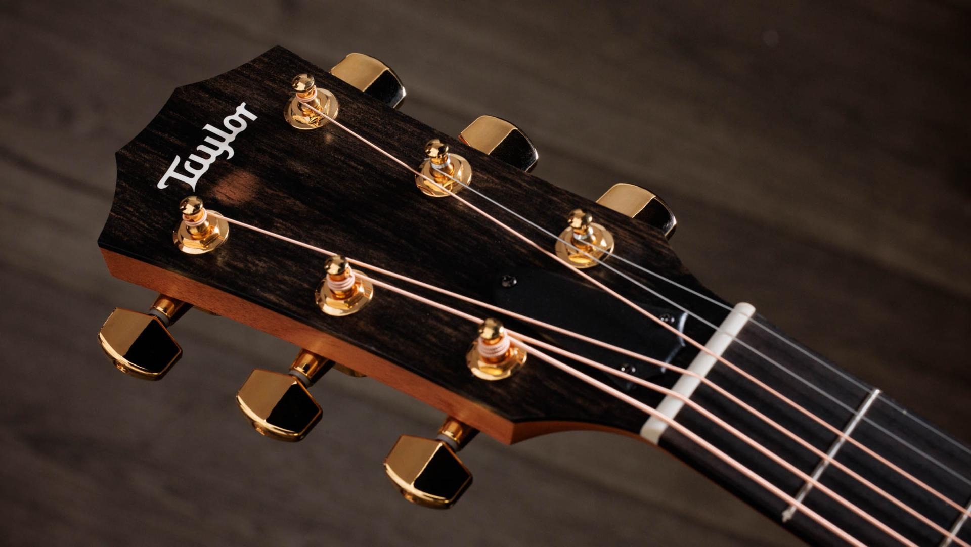 Taylor 224ce-K DLX Acoustic-Electric Guitar