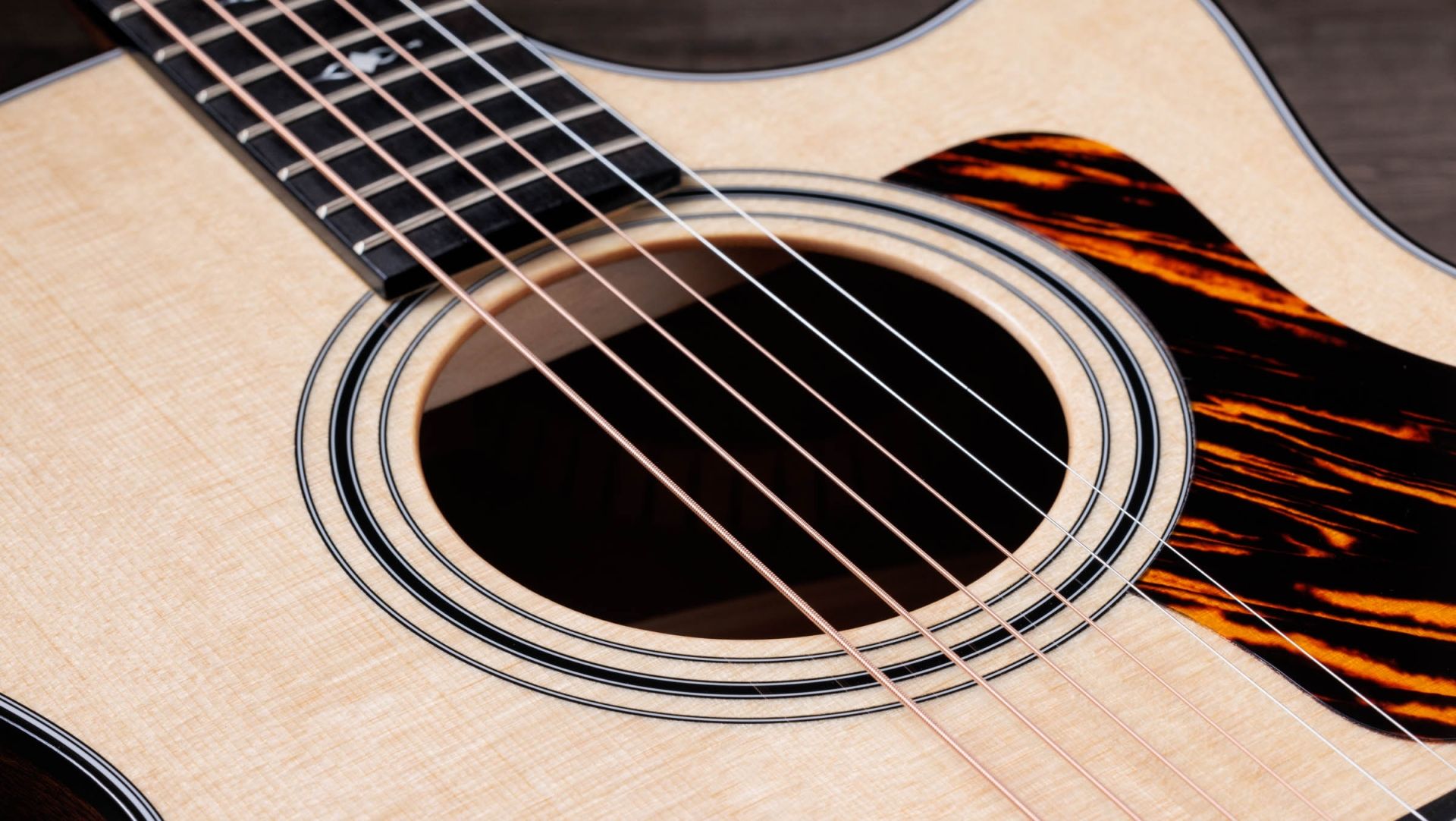 Taylor 314ce Acoustic-Electric Guitar