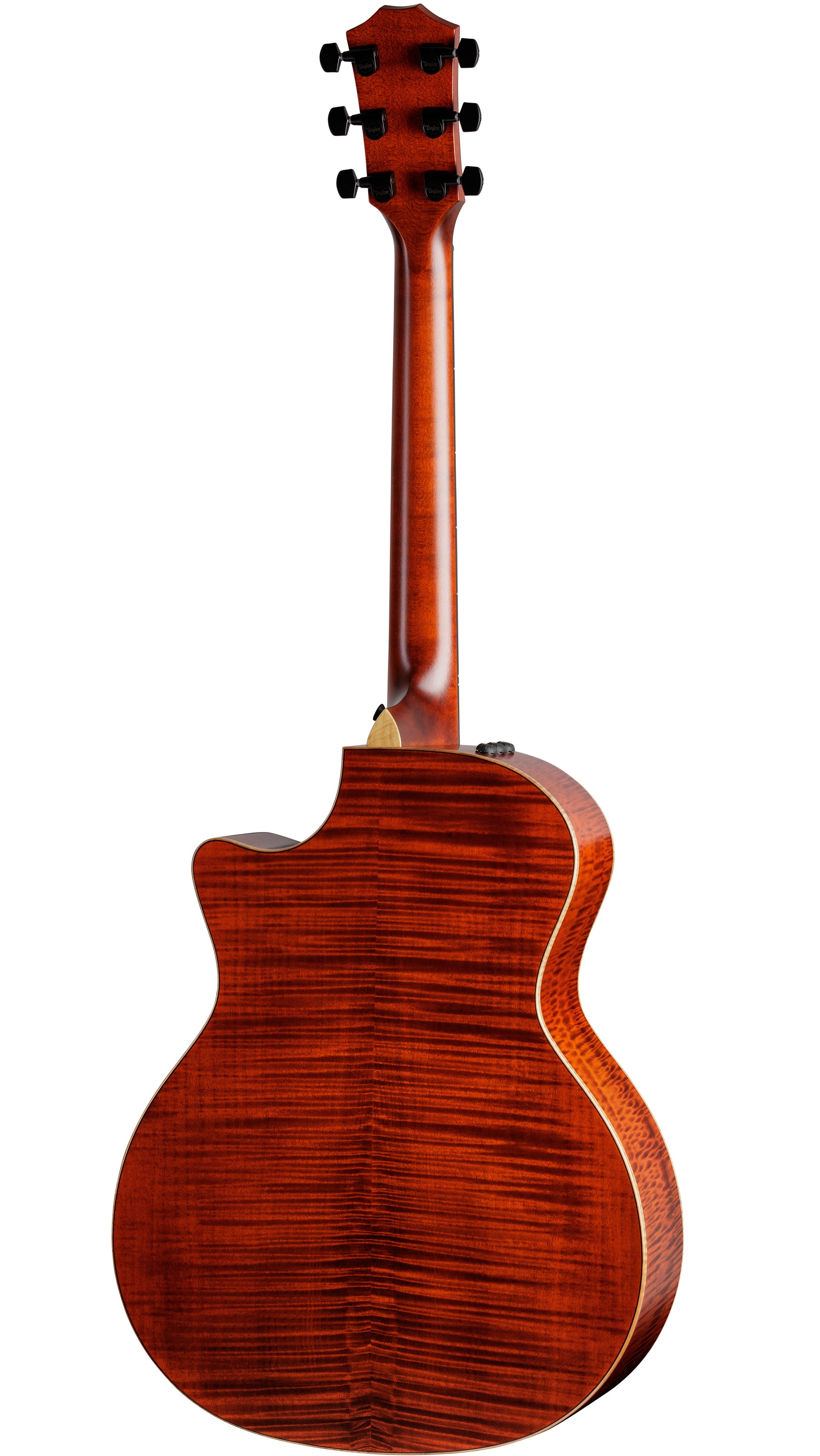 Taylor Custom #41: Grand Auditorium, Western Red Cedar/Figured Big Leaf Maple