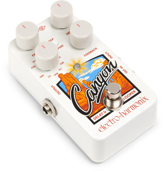 EHX Canyon Delay and Looper Pedal