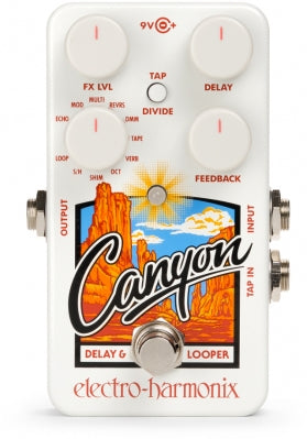 EHX Canyon Delay and Looper Pedal