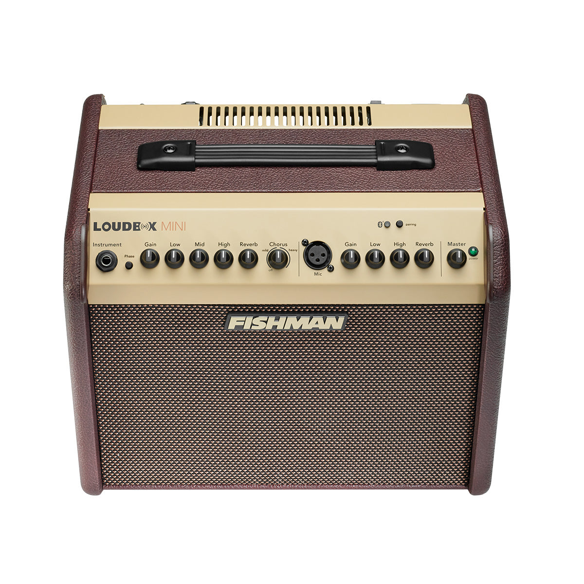 Fishman Loudbox Mini