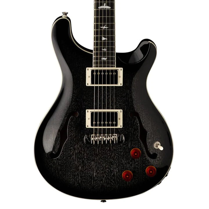 NOS (2023) Paul Reed Smith SE Hollowbody Standard, Piezo, Dog Hair Smokeburst