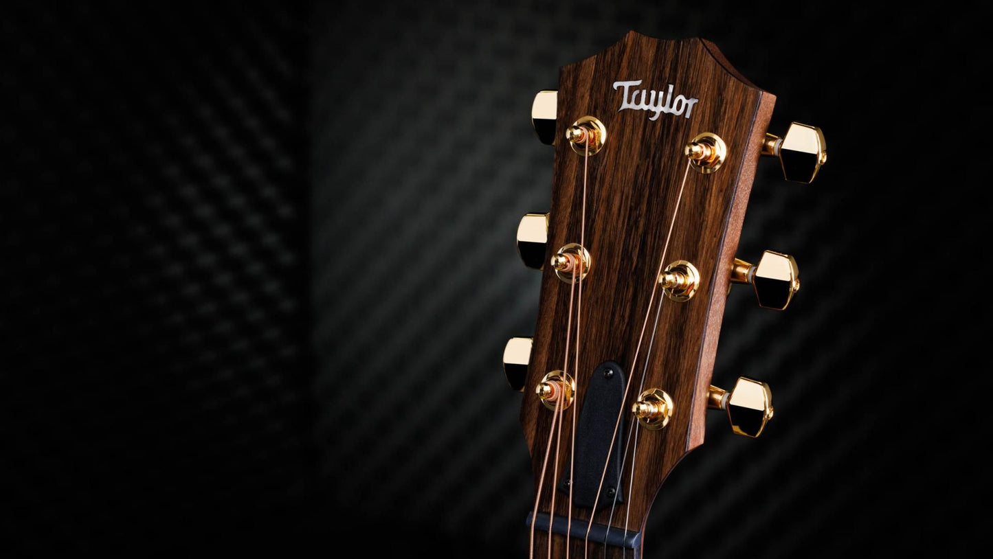 Taylor 50th Anniversary AD14ce, Limited, Spruce/Walnut, Sunburst