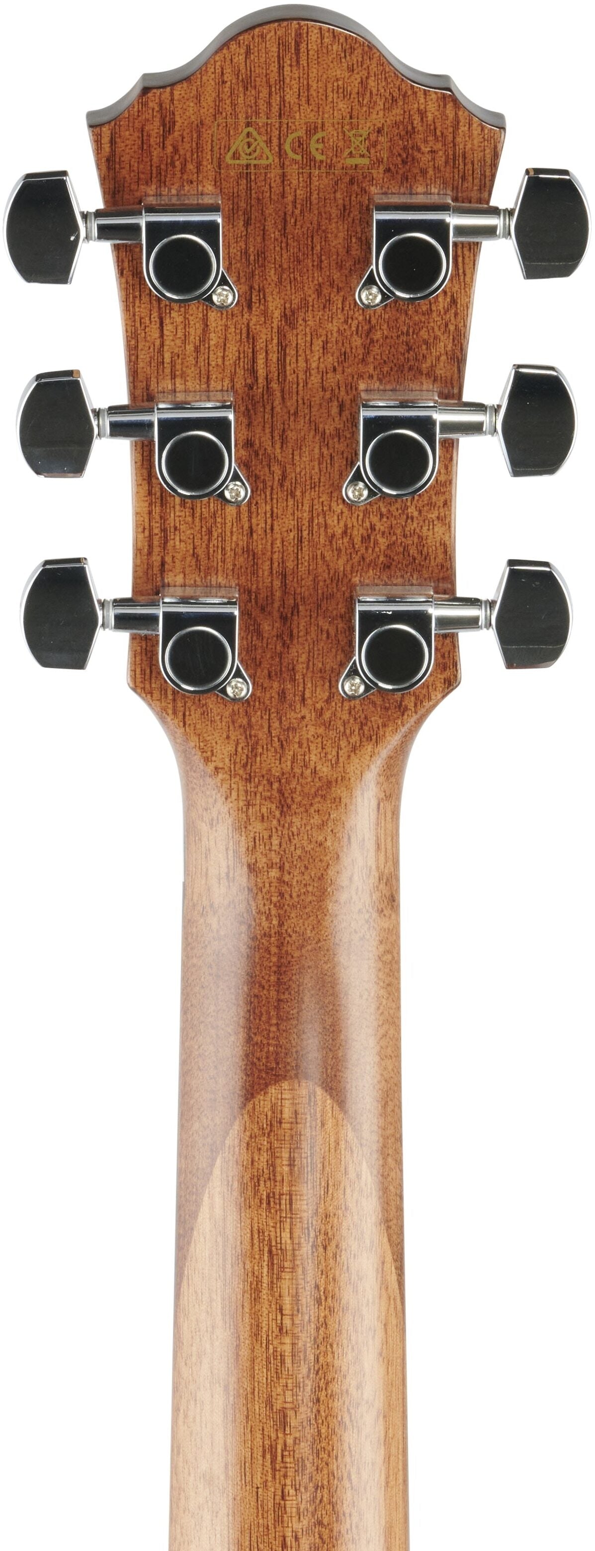 Ibanez AEG200 Acoustic-Electric Guitar