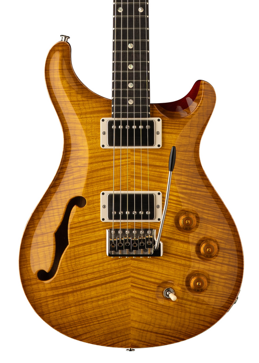 PRS Semi-Hollow DGT Limited Edition - Arriving Soon (LIMITED TO 200 MODELS WORLDWIDE)