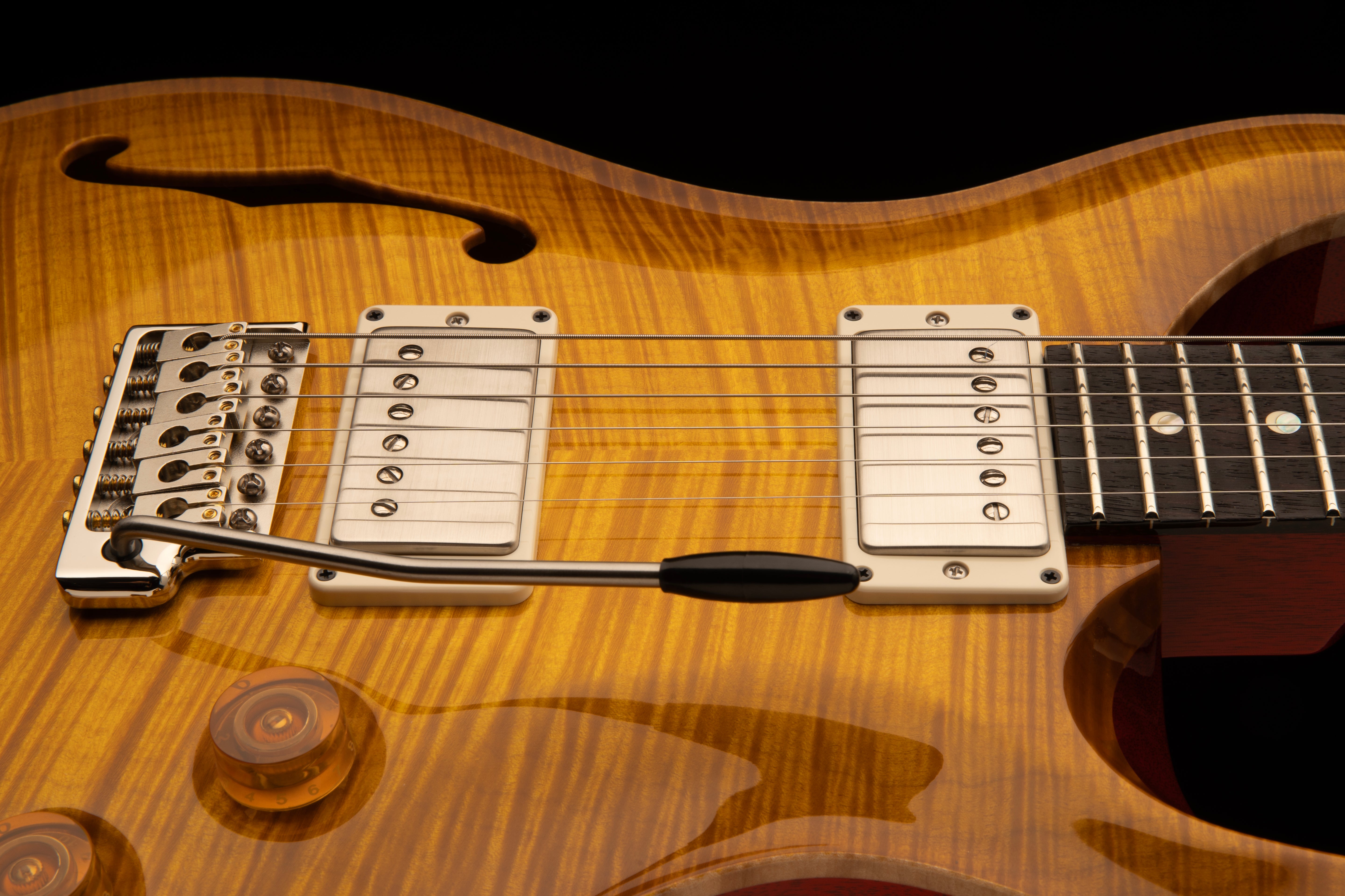 PRS Semi-Hollow DGT Limited Edition - IN STOCK - (LIMITED TO 200 WORLDWIDE)
