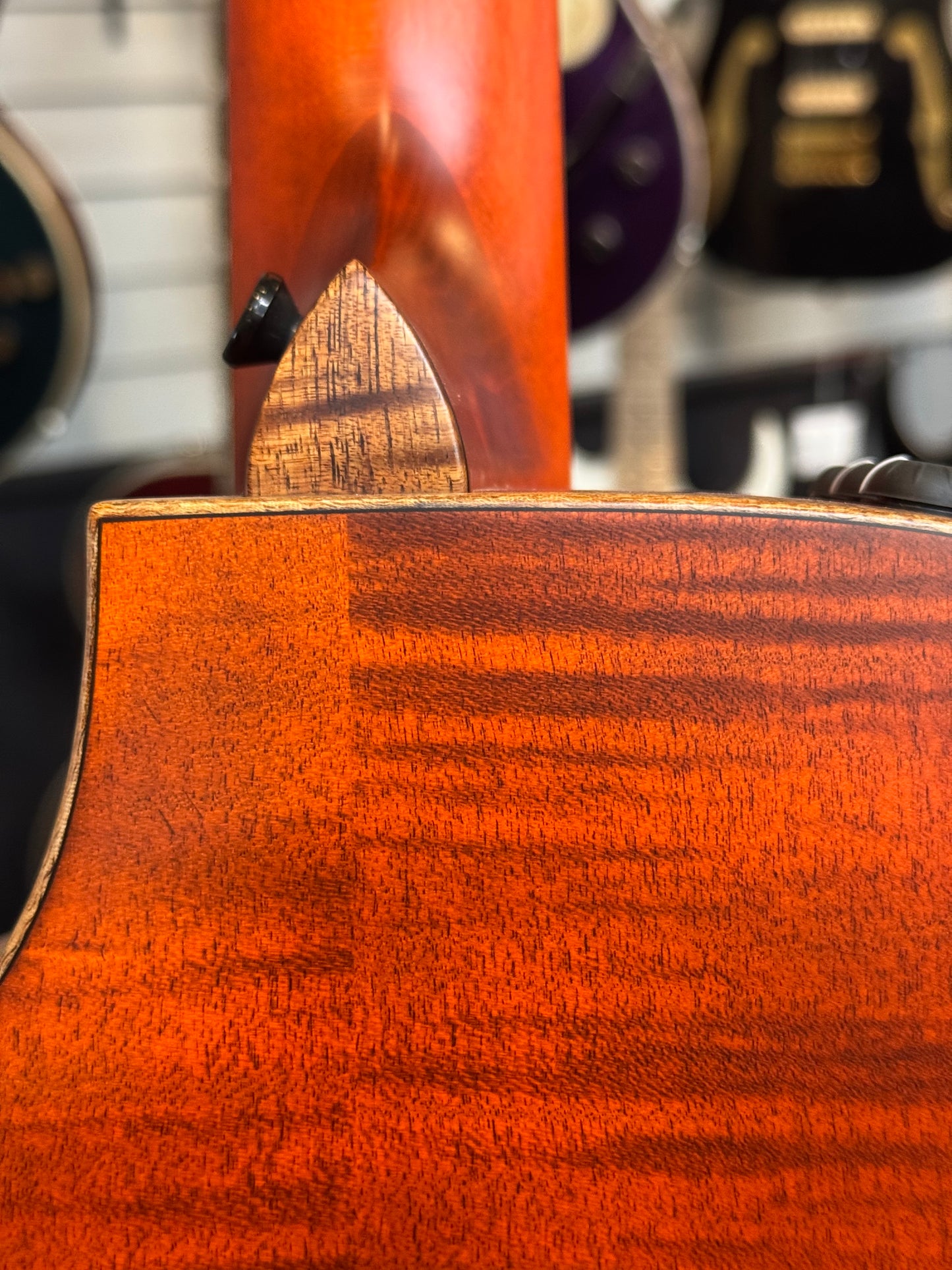 Taylor Custom #41: Grand Auditorium, Western Red Cedar/Figured Big Leaf Maple