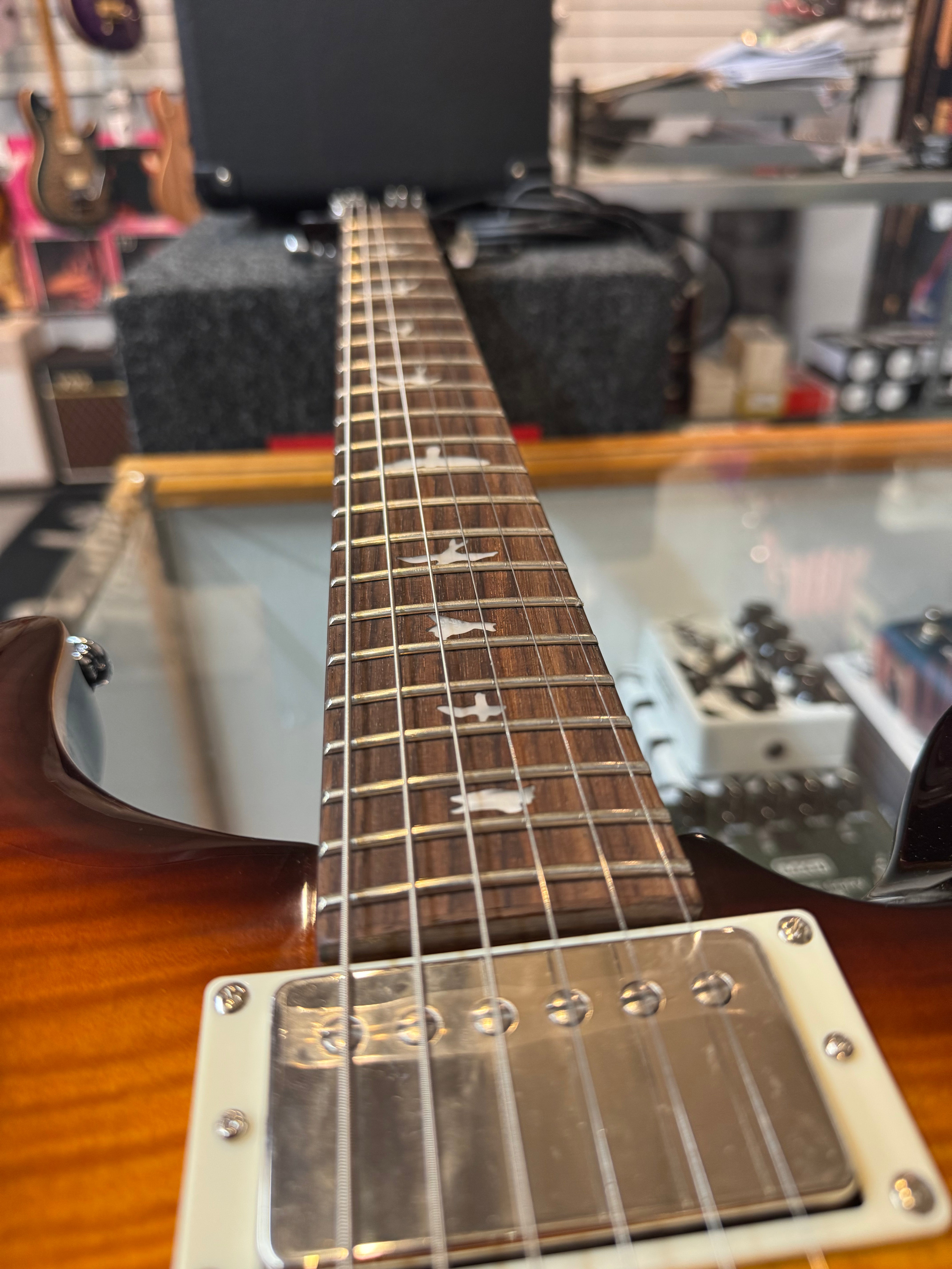 Paul Reed Smith SE DGT, David Grissom, Birds, McCarty Tobacco Sunburst
