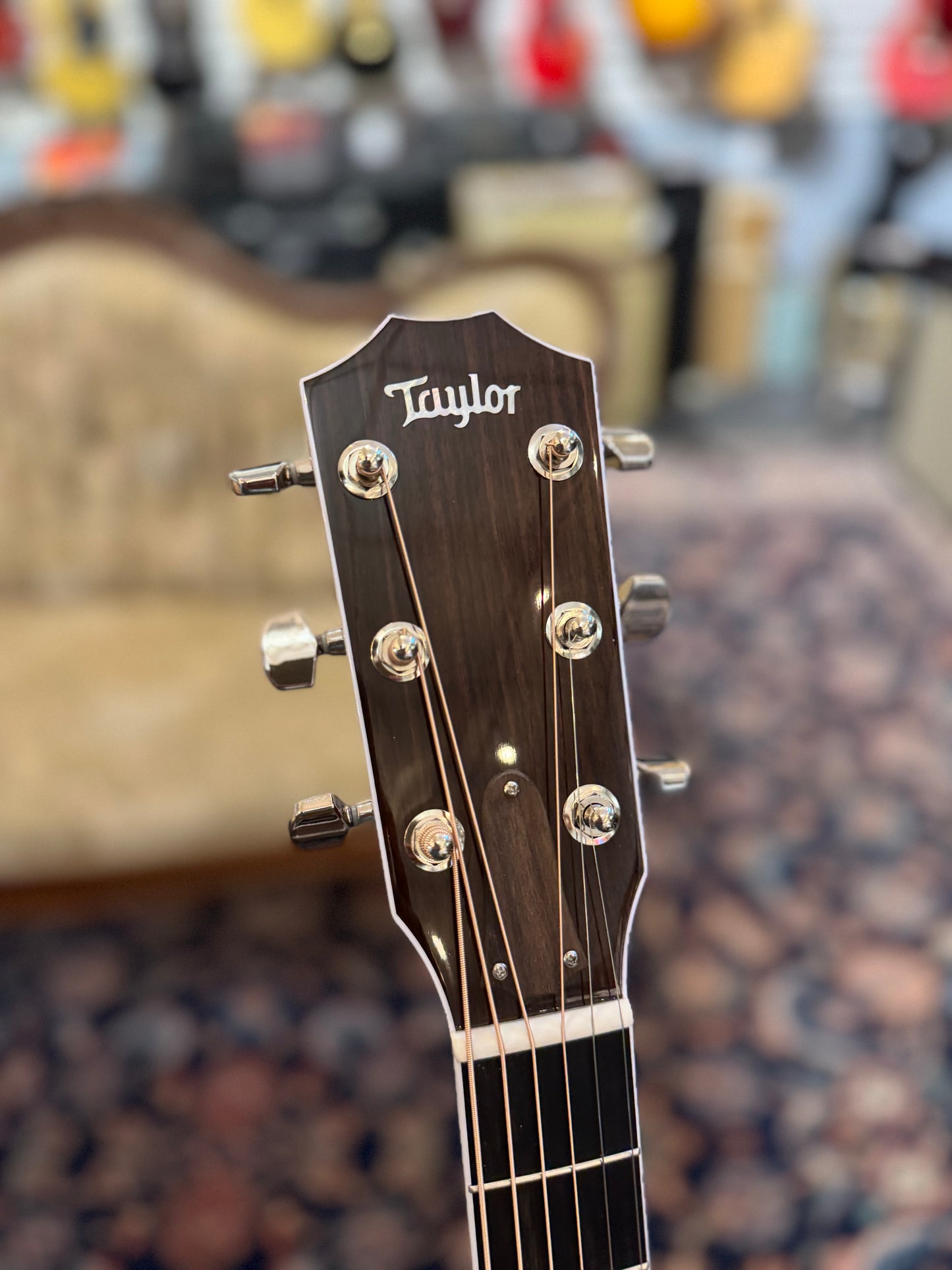 Taylor Legacy 810e Acoustic-Electric Guitar