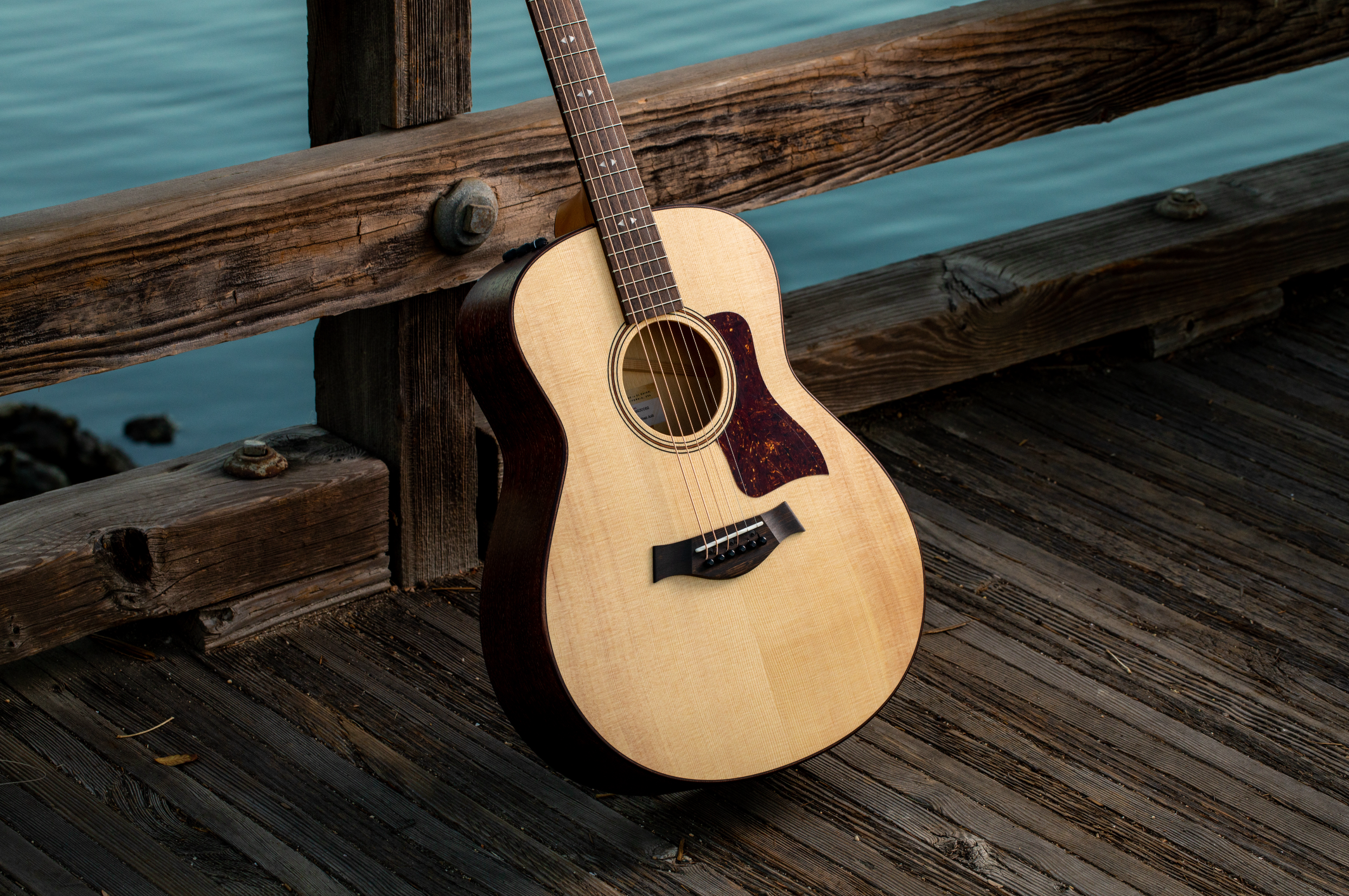 Taylor GTe Grand Theater Urban Ash w/ ES2