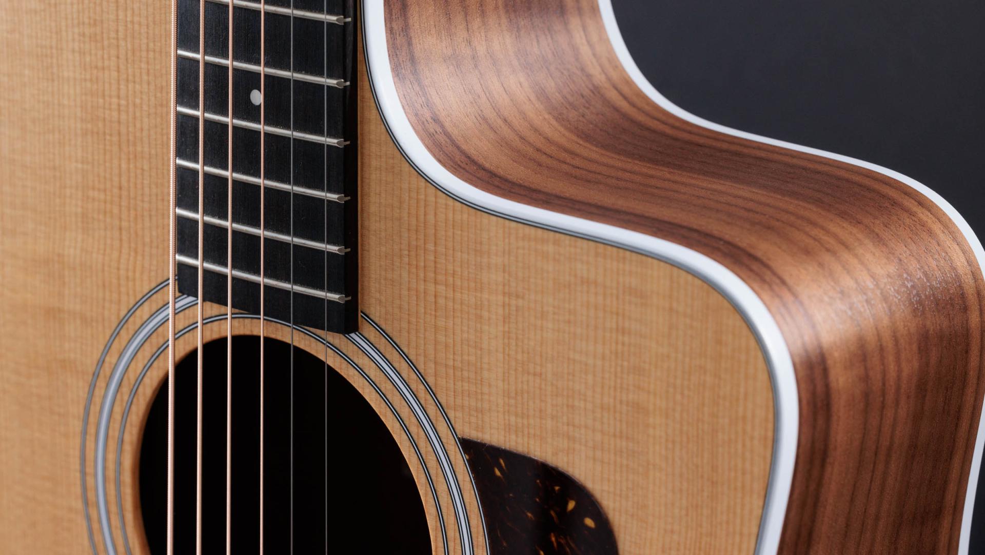 Taylor 210ce Acoustic-Electric Guitar