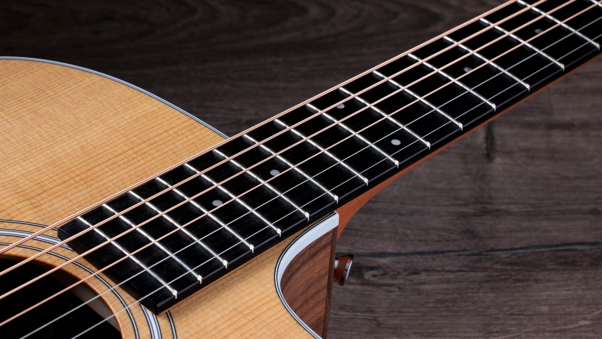 Taylor 210ce Acoustic-Electric Guitar