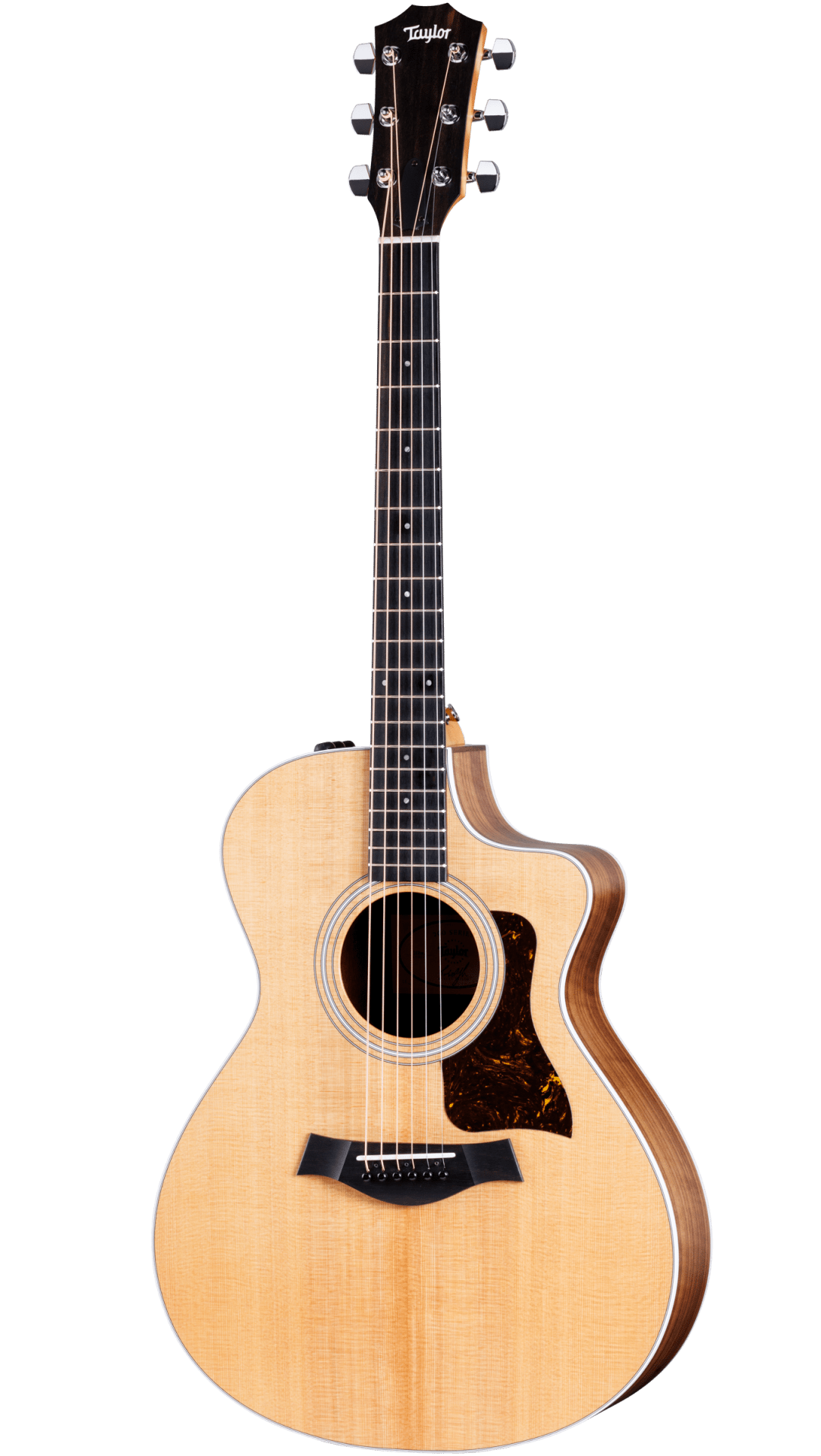Taylor 212ce Acoustic-Electric Guitar