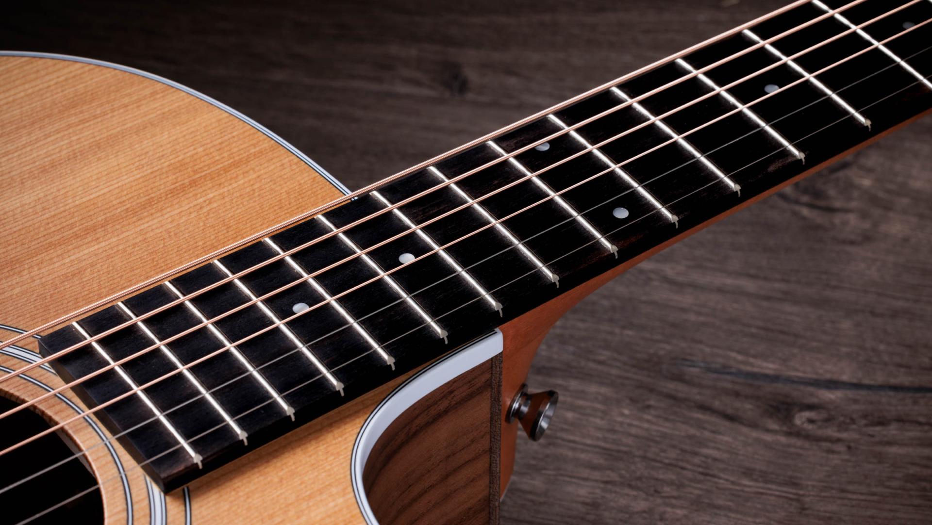 Taylor 214ce Acoustic-Electric Guitar