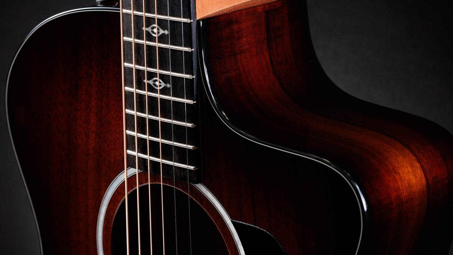 Taylor 224ce-K DLX Acoustic-Electric Guitar