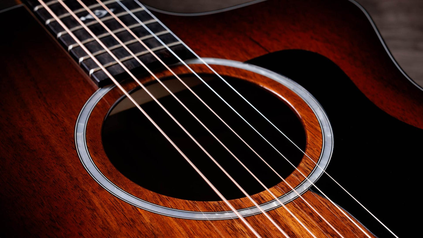 Taylor 224ce-K DLX Acoustic-Electric Guitar