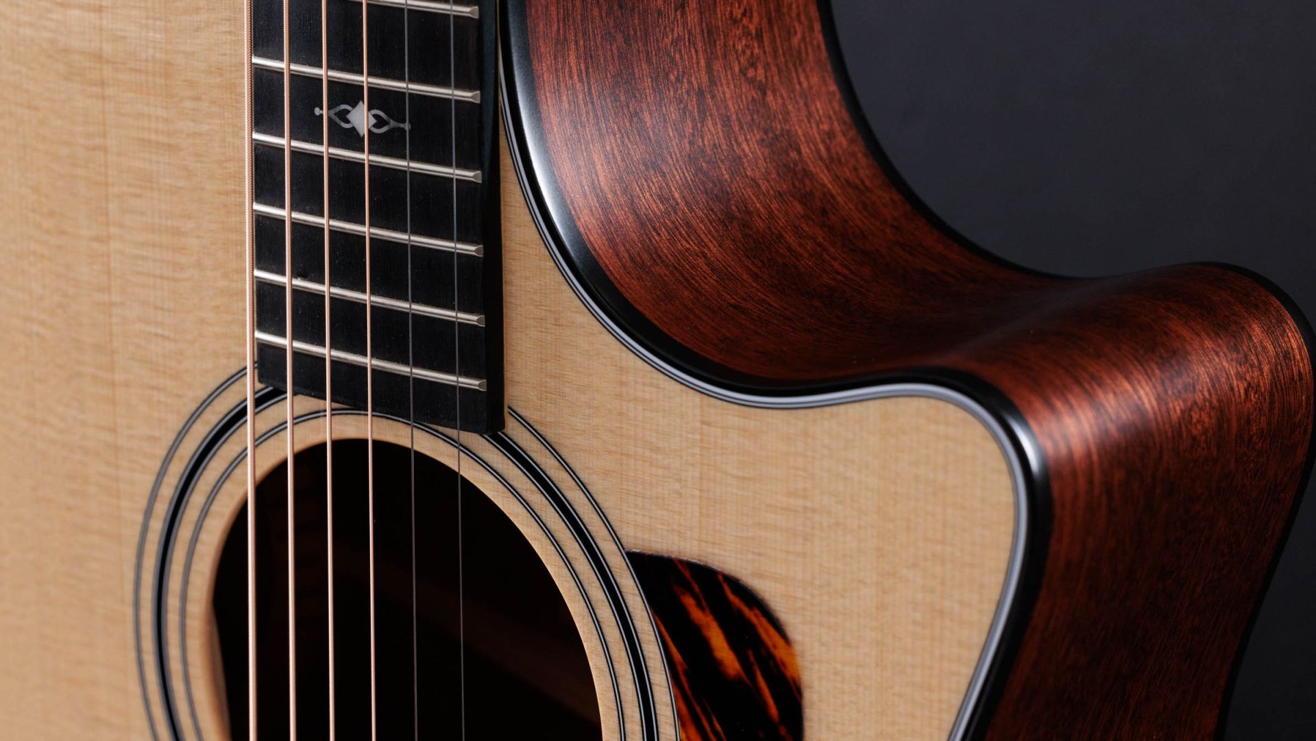 Taylor 314ce Acoustic-Electric Guitar