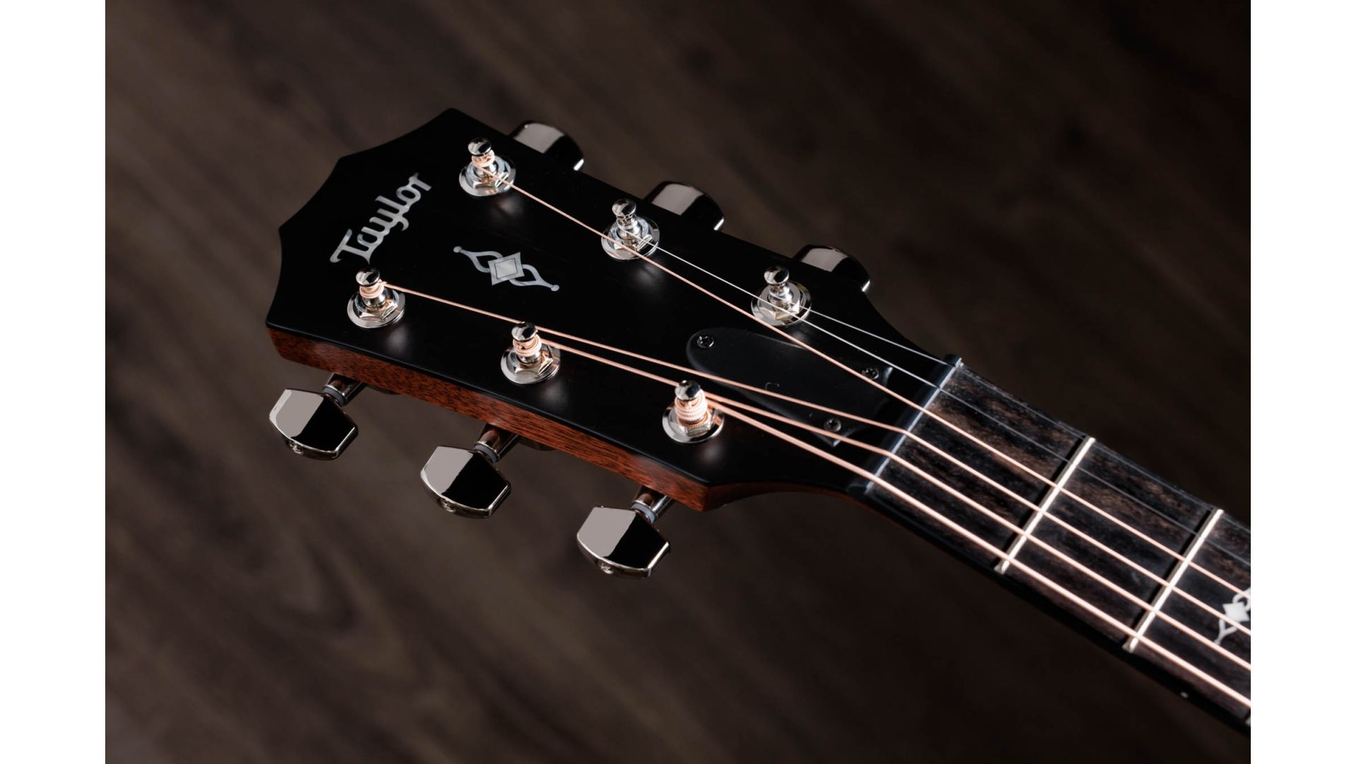 Taylor 314ce Acoustic-Electric Guitar