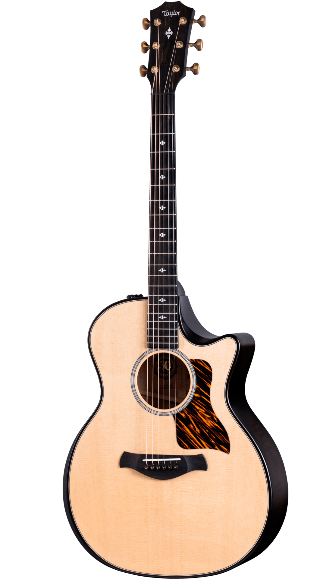 Taylor 50th Anniversary 314ce, Limited, Natural