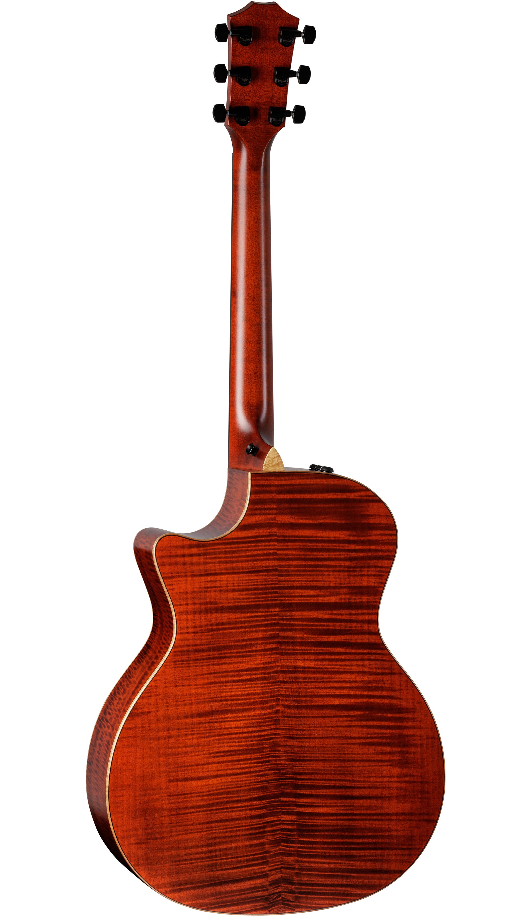 Taylor Custom #41: Grand Auditorium, Western Red Cedar/Figured Big Leaf Maple