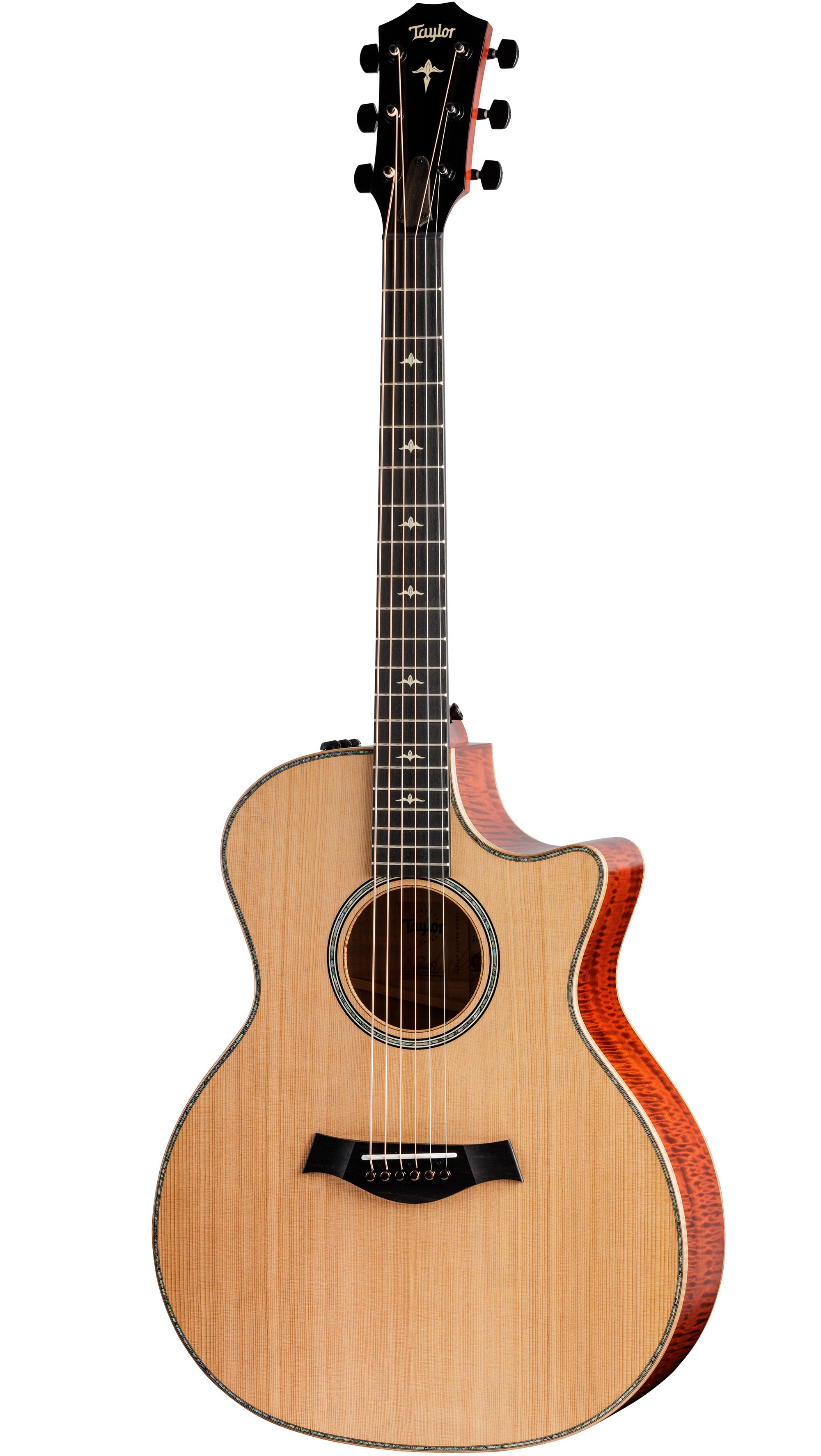 Taylor Custom #41: Grand Auditorium, Western Red Cedar/Figured Big Leaf Maple