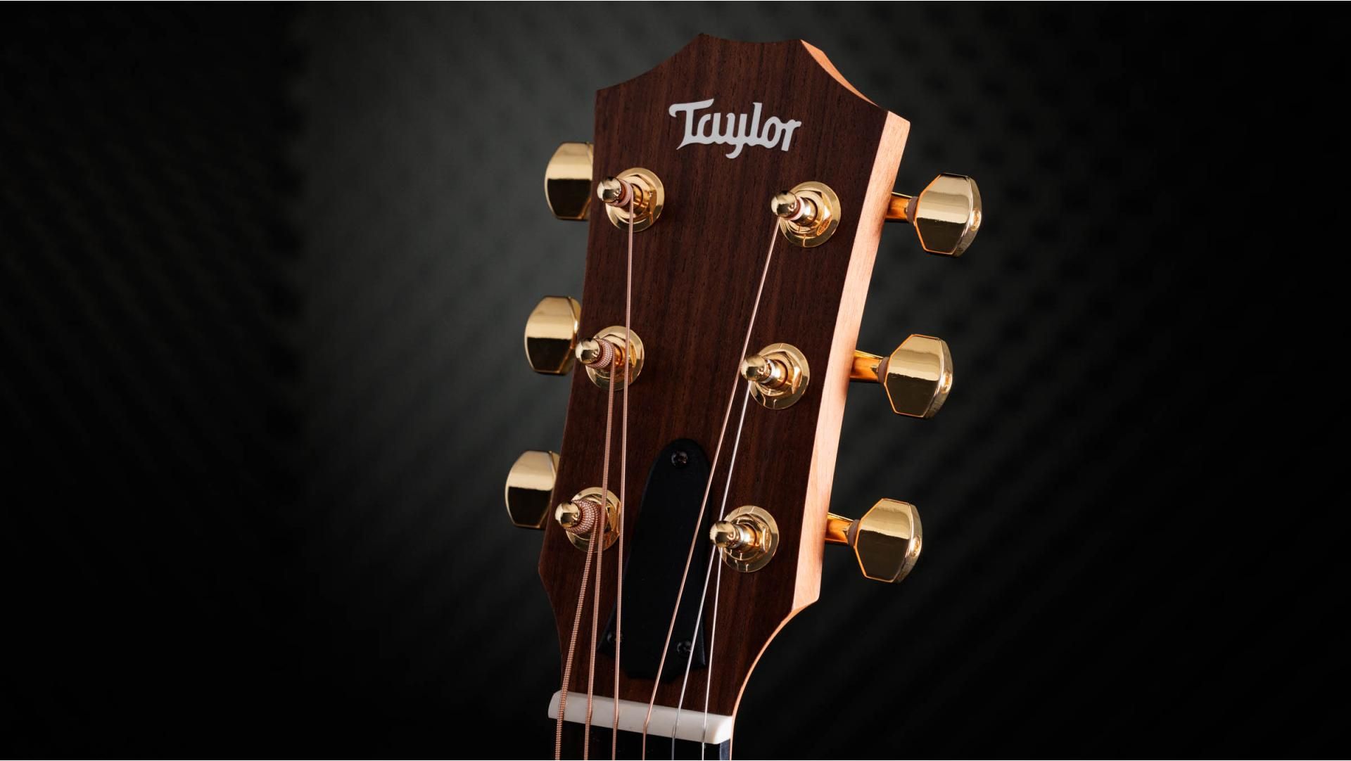 Taylor 50th Anniversary GS Mini-e, Limited, Spruce/Rosewood, Sunburst