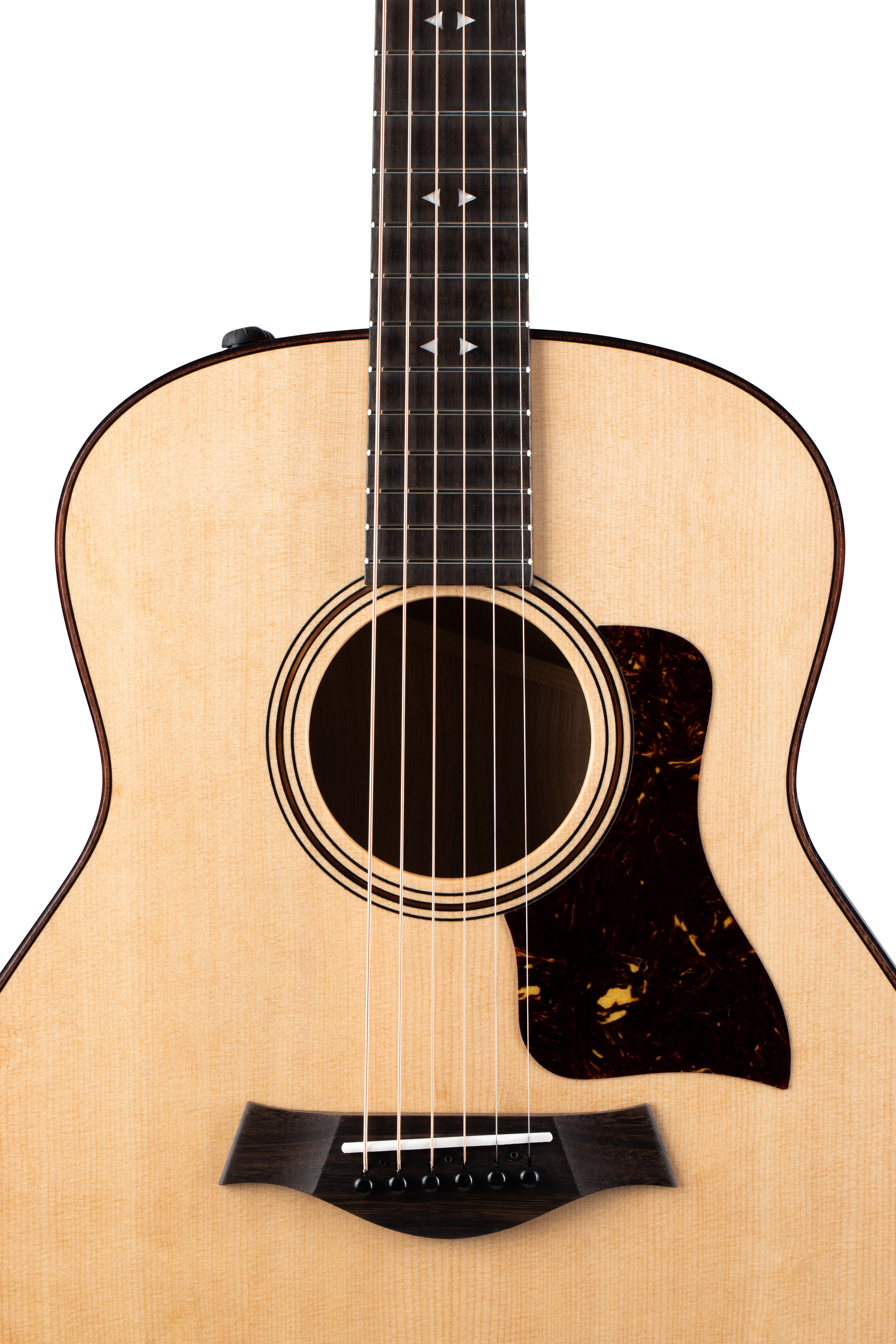 Taylor GTe Grand Theater Urban Ash w/ ES2