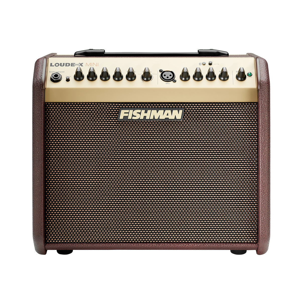 Fishman Loudbox Mini
