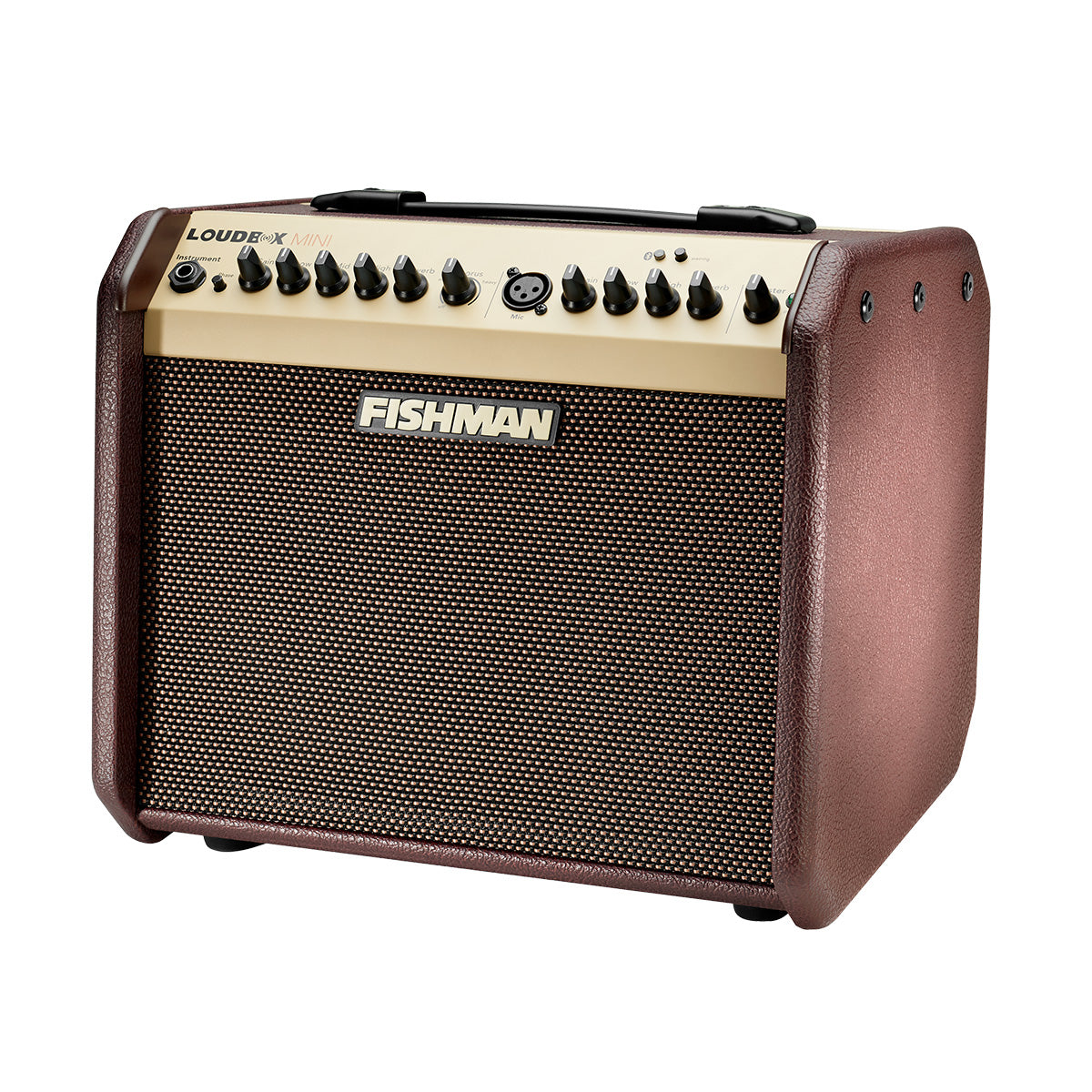 Fishman Loudbox Mini