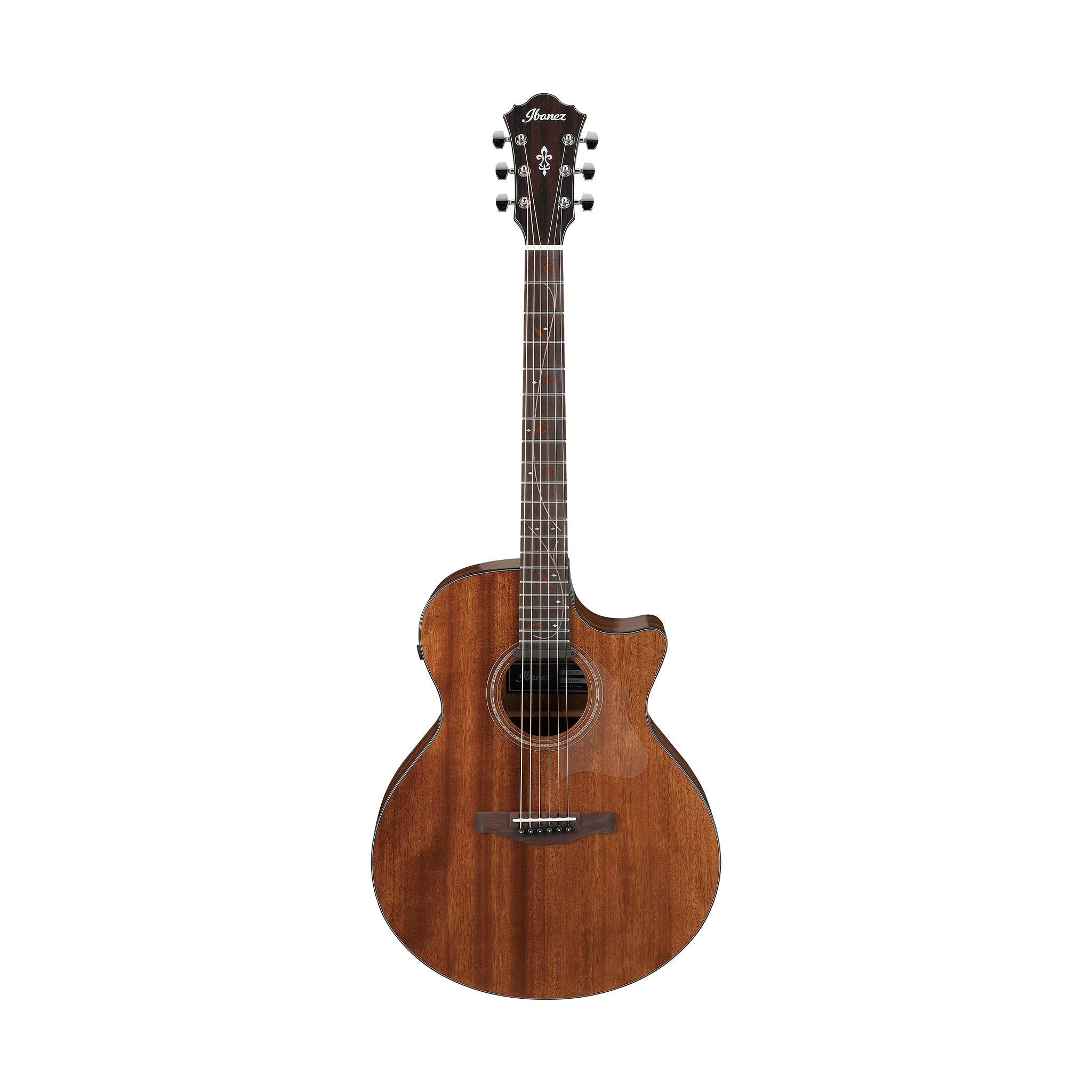 Ibanez AE295 Acoustic-Electric Guitar