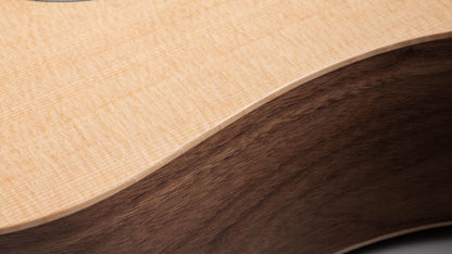 Taylor Big Baby Taylor Acoustic Guitar