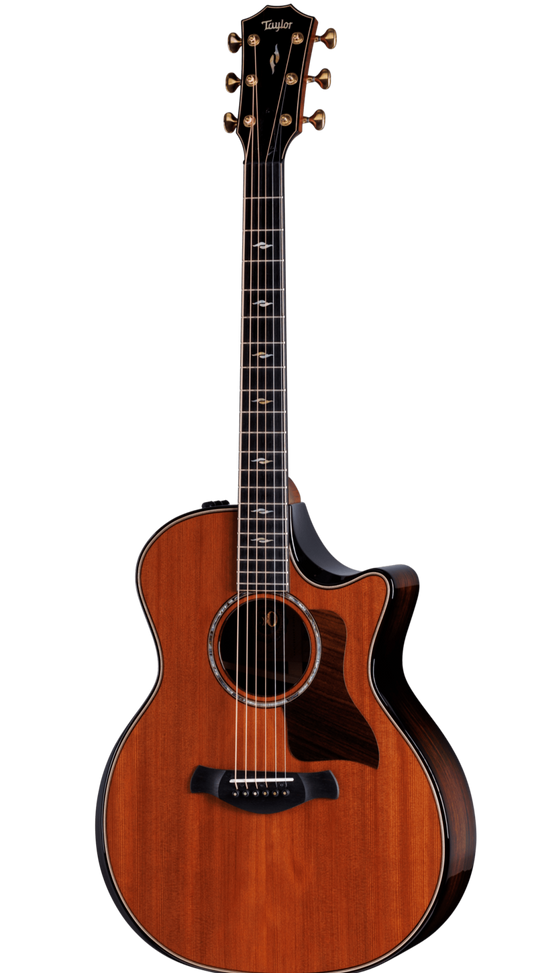 Taylor 50th Anniversary 814ce, Sinker Redwood/Rosewood, Limited