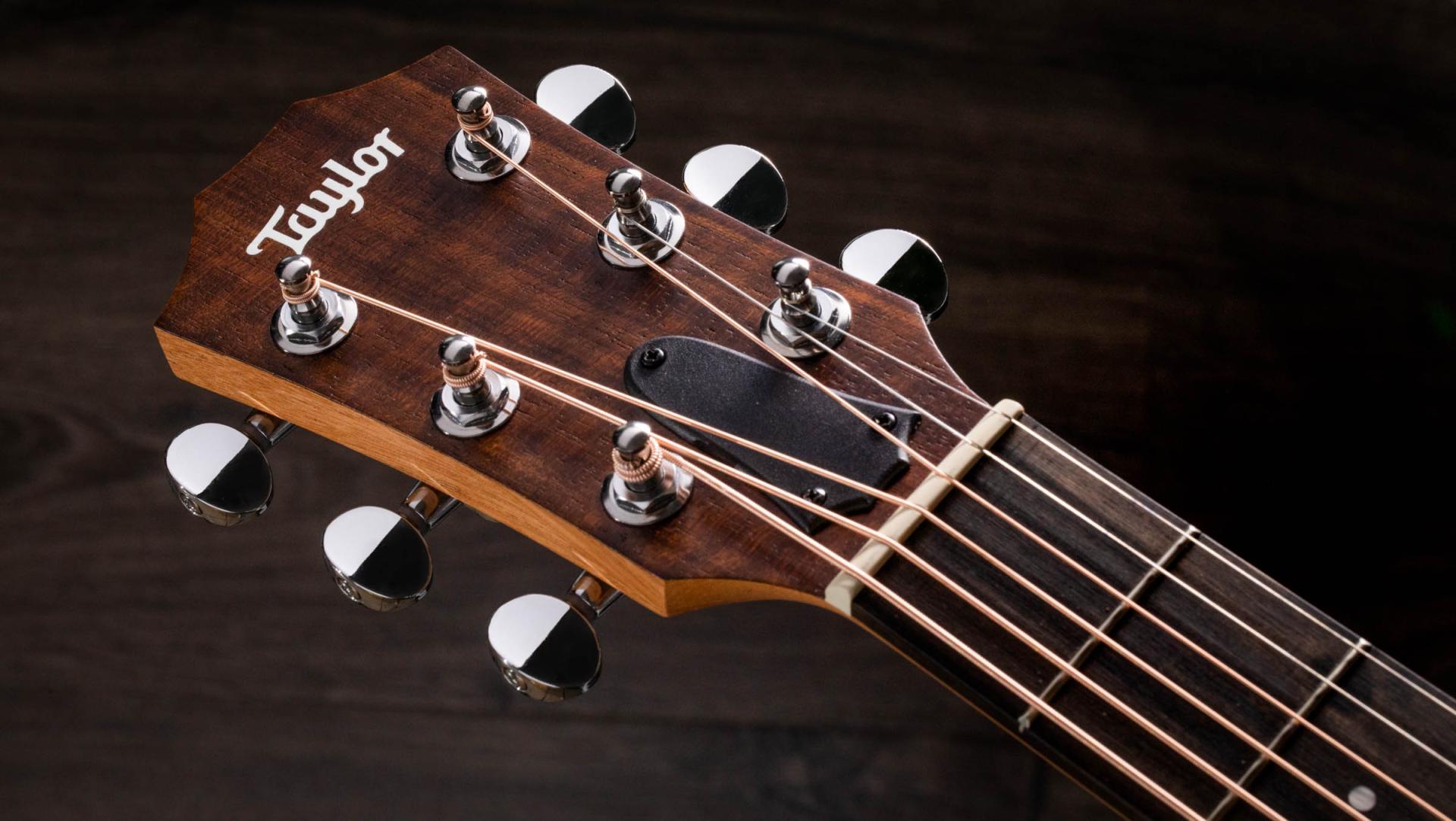 Taylor GS Mini-e Koa